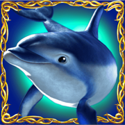 dolphins-pearl.net favicon