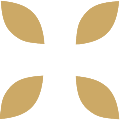 hedios.com favicon