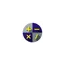 ibasglobal.com favicon