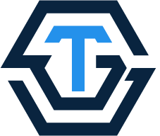salestransformationgroup.com favicon