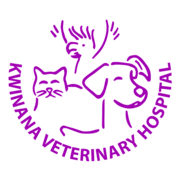 kwinanavet.com.au favicon