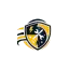 prontointervento-tecnico24h.it favicon