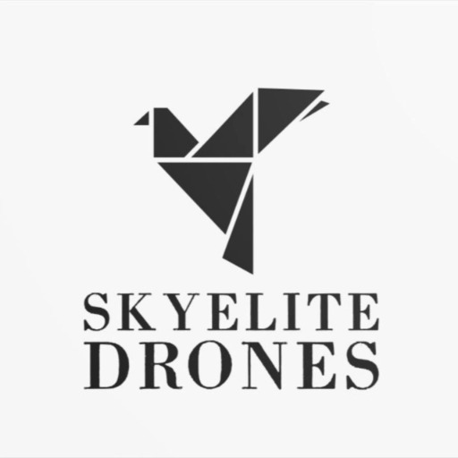 skyelitedrones.bigcartel.com favicon