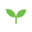 vivelyhome.com favicon