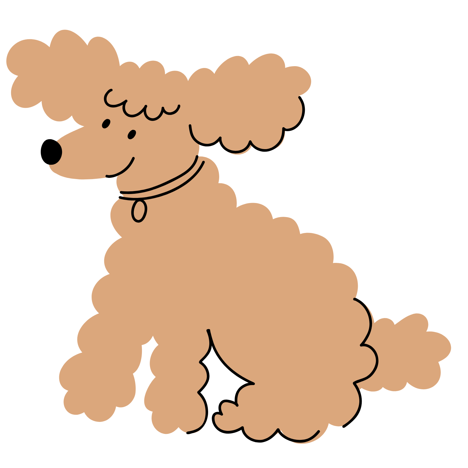 whatthevet.co.uk favicon