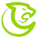 biggpanther.com favicon