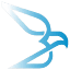 bluehawke.com favicon