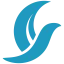 corsinitravel.com favicon