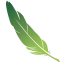 esquisse-conseil.com favicon