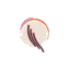lisudestemps.fr favicon