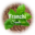 seedsofitaly.com favicon