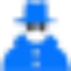 topindiandetectiveagency.com favicon