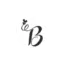 brandzus.com favicon