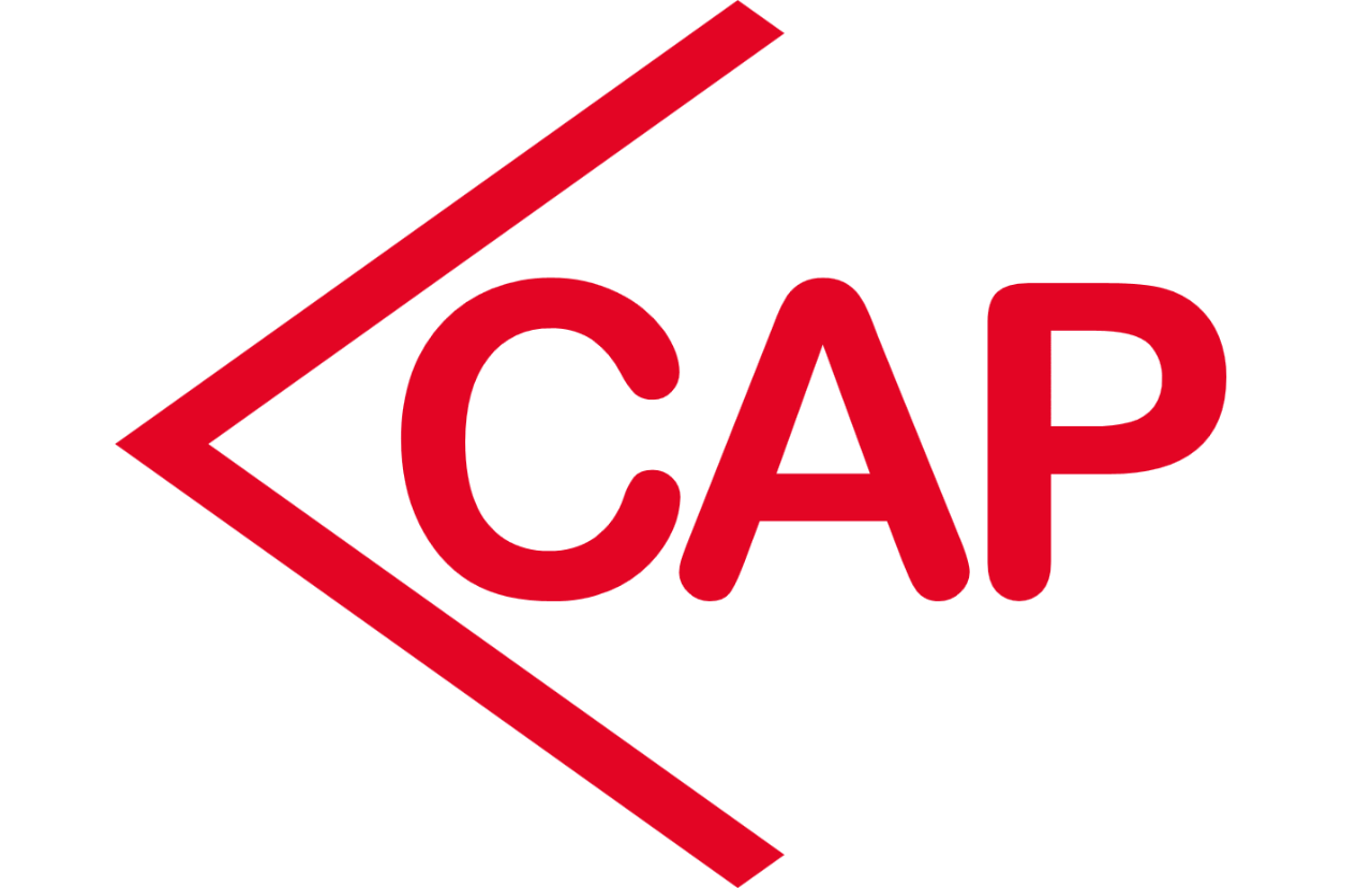 cap.ch favicon