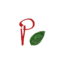 dapecchiapizzerie.it favicon
