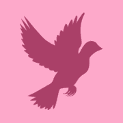 dovebingo.com favicon