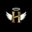 heavenofreplicas.com favicon
