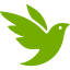 inaturalist.org favicon