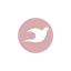 lamis-boutique.fr favicon