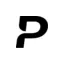 paradigmprecision.com favicon