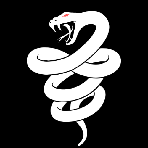 skelersecurity.com favicon