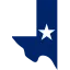 texaswebhub.com favicon