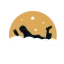 dreamscriptpublishing.com favicon