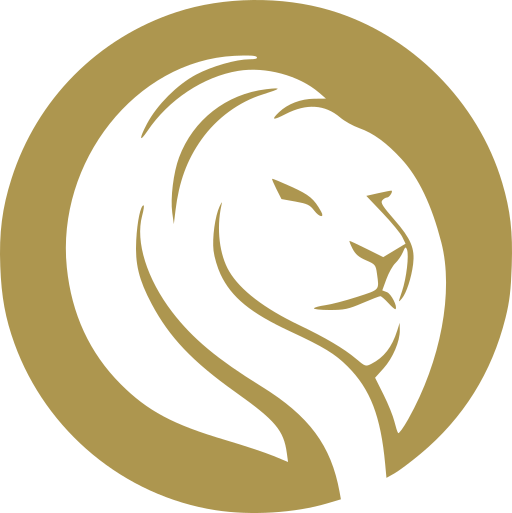 emberlyon.de favicon