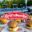grillnsmoke.nl favicon