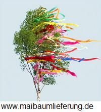 maibaumlieferung.net favicon