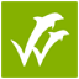 wiseflow.net favicon