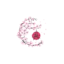 tamasushis.com favicon