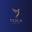 volahealthistanbul.com favicon