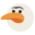 birdiechaser.com favicon