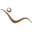 fjords.no favicon