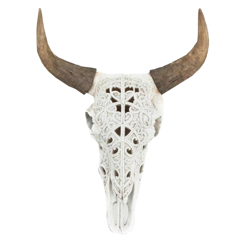 skulldecoratie.nl favicon