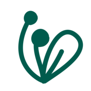 bioveganshop.it favicon