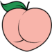 brazilianbootylift.co.uk favicon