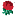 englandrugby.com favicon