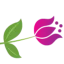 knocknacarraflorists.ie favicon