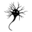 neurococi.ro favicon