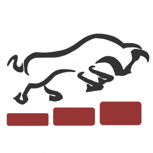 quotenbulle.de favicon