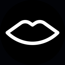 siedle.com favicon