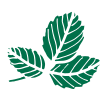 susannemelchiorsen.com favicon