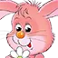 teddytassen.se favicon
