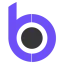 bizturo.com favicon