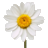 floridee.de favicon