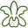 hormoonpoli.nl favicon