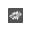 morgenfruen.dk favicon