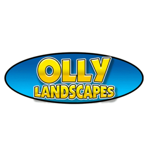 ollylandscapes.co.uk favicon
